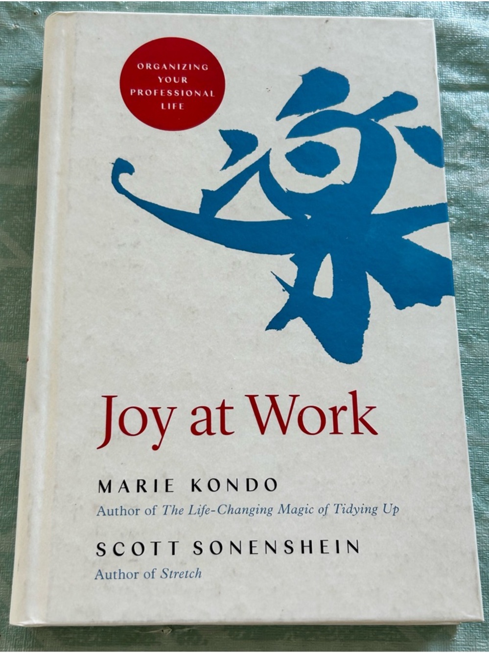 Marie Kondo Joy at Work